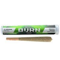 Burn Hemp Pre-Roll 2G